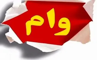 ماجرای وام جدید دولت به مردم/ این وام به چه کسانی داده می شود؟