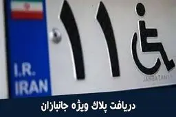 پلاک ویژه جانبازان و معلولان تغییر کرد؛ شرایط جدید دریافت پلاک اعلام شد