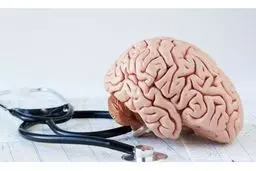 این ویروس باعث کند ذهنی می شود 