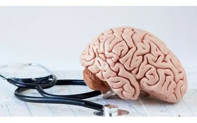 این ویروس باعث کند ذهنی می شود 