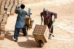  شرط جذب نیروی کار افغانستانی در ایران مشخص شد