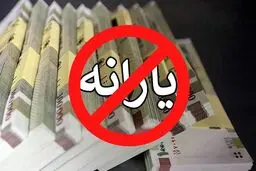 آیا یارانه و کالابرگ خانوارها به خاطر درآمد فرزند قطع می‌شود؟ 