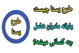 جزئیات جدید یارانه طرح یسنا آبان ماه + روش‌های استعلام یارانه یسنا
