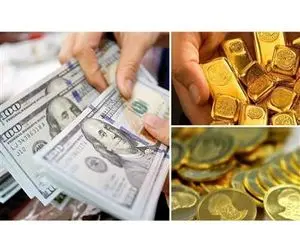 نرخ ارز دلار سکه طلا یورو امروز شنبه ۶ مرداد ۱۴۰۳/ افزایش دستهجمعی قیمتها