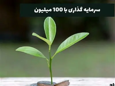 با ۱۰۰میلیون تومان در کدام بازار سرمایه گذاری کنیم که سود ببریم؟