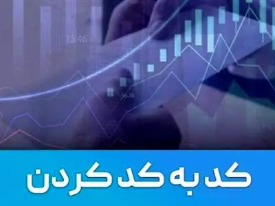 کد به کد کردن سهام یعنی چه؟ / دلایل کد به کد کردن سهام در بورس