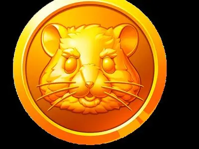 شوک بزرگ در انتظار طرفداران همستر‌