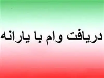 با کارت یارانه می‌توان وام گرفت؟