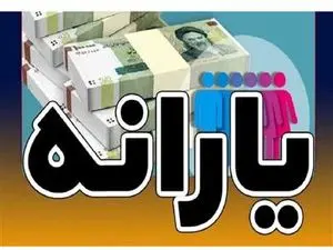 کدام خانوارها از این ماه ۲ یارانه دریافت میکنند؟