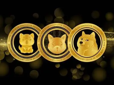 معرفی پنج میم کوین برتر بازار