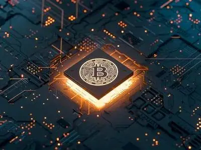 واکنش بازار ارز دیجیتال به انتخابات آمریکا