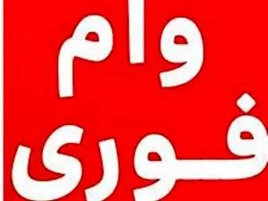همه چیز در مورد وام فوری