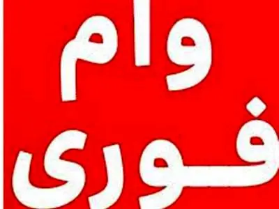 همه چیز در مورد وام فوری
