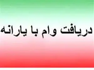 با یارانه نقدی می‌توانیم وام بگیریم؟