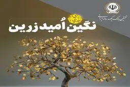 کدام مشتریان می‌توانند از طرح زرین بانک سپه بهره‌مند شوند؟ 