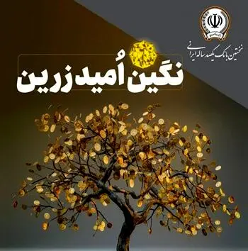 کدام مشتریان می‌توانند از طرح زرین بانک سپه بهره‌مند شوند؟ 