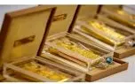 حراج جدید شمش طلا + جزئیات