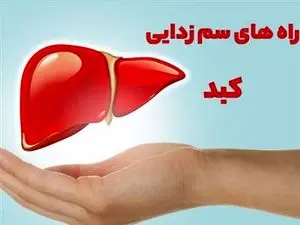 چند نوشیدنی مفید برای سم‌زدایی از کبد