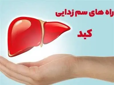 چند نوشیدنی مفید برای سم‌زدایی از کبد