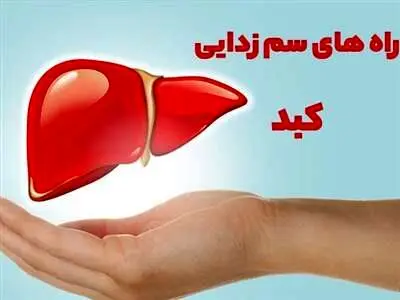 چند نوشیدنی مفید برای سم‌زدایی از کبد