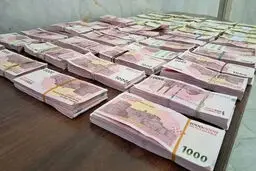 پشت پرده ی یک اتفاق عجیب/ چرا عراق و پاکستان اسکناس ایرانی ذخیره می‌کنند؟