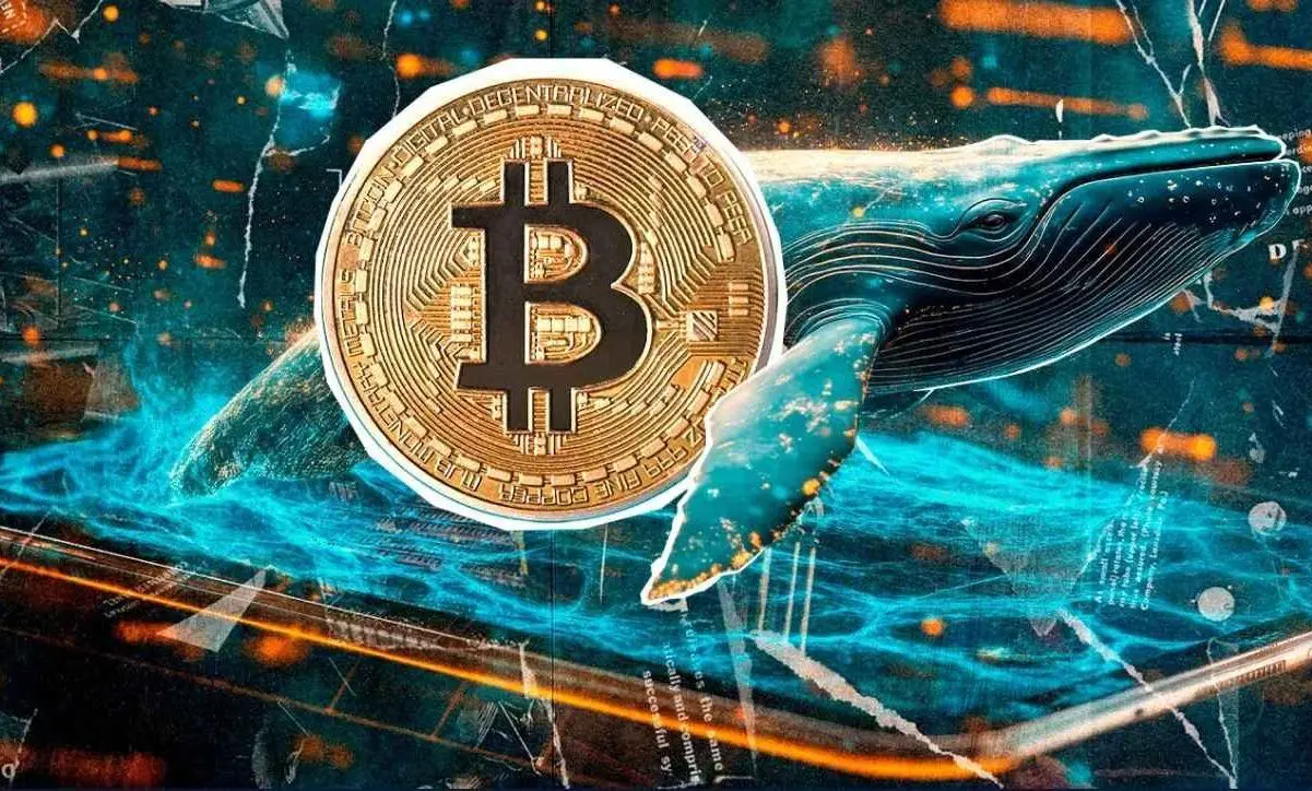 چرا بازار رمزارز برای سرمایه‌گذاران ایرانی پرریسک‌تر است؟