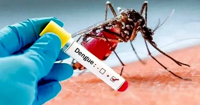 هشدار مینو محرز نسبت به افزایش ۱۰ برابری مبتلایان تب دنگی در کشور