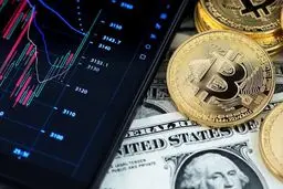 روش رهگیری تبلیغات فریبنده ی میم‌کوین‌ها
