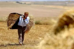 بدهی دیرکرد پرداخت اقساط وام بانکی حوادث طبیعی بخشیده شد 