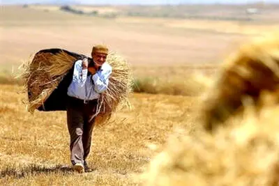 بدهی دیرکرد پرداخت اقساط وام بانکی حوادث طبیعی بخشیده شد 