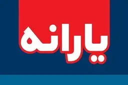 این خانوارها یارانه میلیونی می‌گیرند