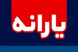 این خانوارها یارانه میلیونی می‌گیرند