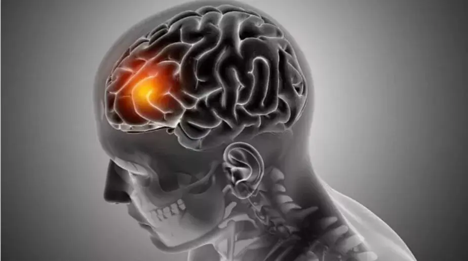 این چربی مغز شما را نابود می‌کند