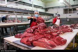 معافیت مالیات از انواع گوشت ابلاغ شد