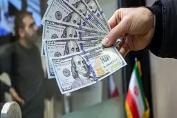 هشدار بانک مرکزی به واردکنندگان؛ مابه‌التفاوت ارز را پس بدهید