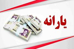 3 راه موثر برای پیشگیری از قطع یارانه سرپرستان خانوار /جدول: عوامل موثر در قطع یارانه نقدی
