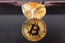 بهترین روش فرار از تله بیت کوین
