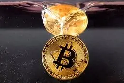 بهترین روش فرار از تله بیت کوین
