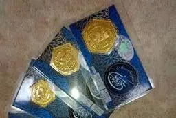 قیمت سکه پارسیان امروز 14 دی 1404