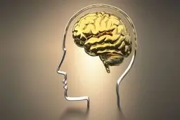۶ راه مهم برای اینکه مغزتان سالم بماند