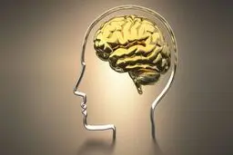 ۶ راه مهم برای اینکه مغزتان سالم بماند