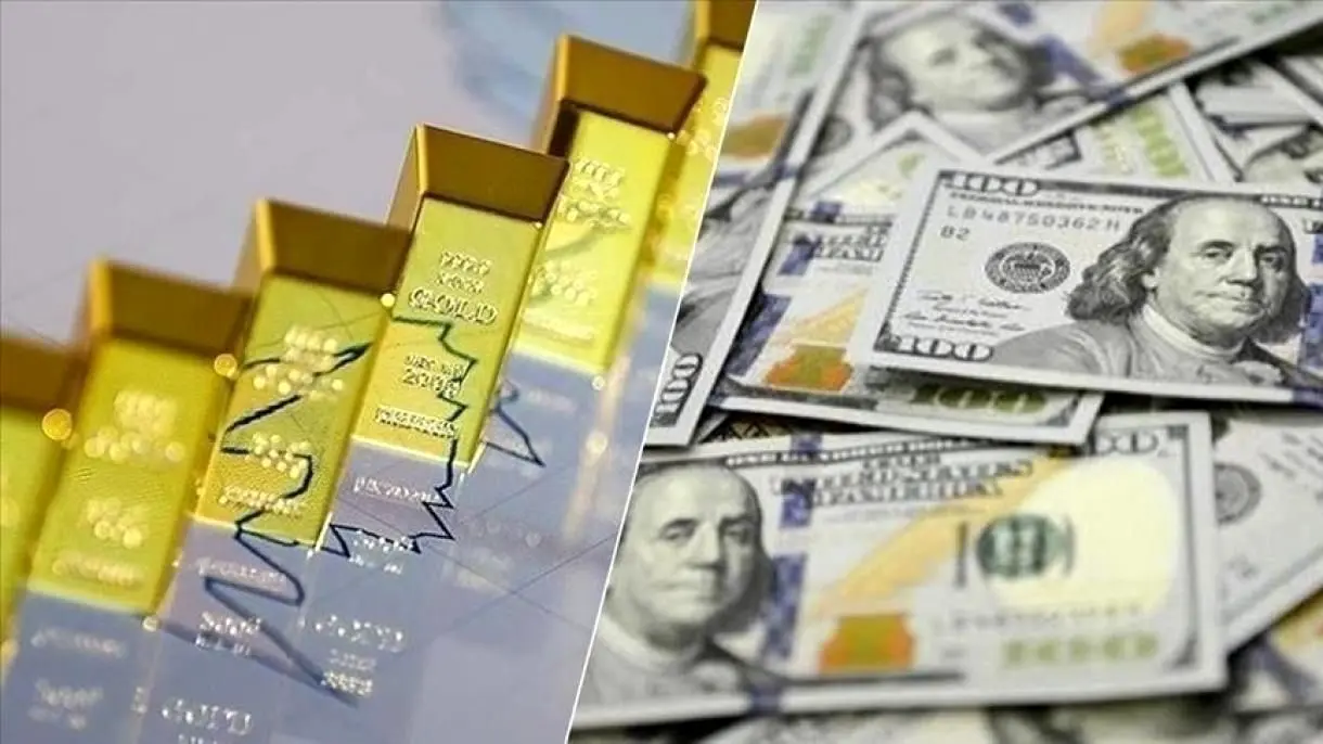 نرخ ارز دلار سکه طلا یورو امروز ۱۳ دی 1403/ افزایش قیمت ها