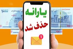 قطع و حذف یارانه بر اساس سقف تراکنش ماهیانه خانوار