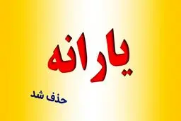 حذف یارانه خانوارها منوط به تصویب آیین‌نامه جدید است