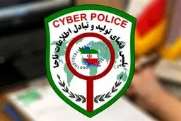 هشدار پلیس فتا درباره پلتفرم‌های جعلی رمزارز/وعده سود تضمینی دام کلاهبرداران سایبری