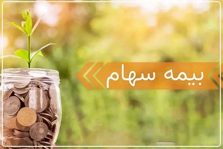 چگونه سهام خود را بیمه کنیم؟ 