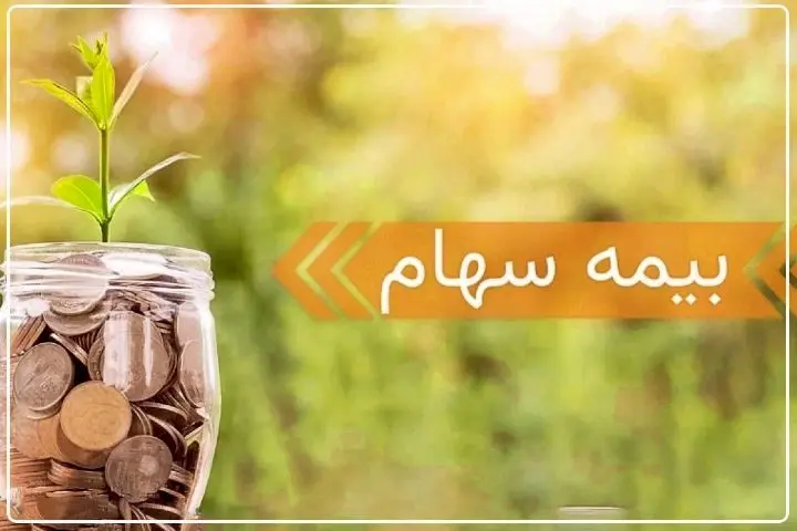 چگونه سهام خود را بیمه کنیم؟