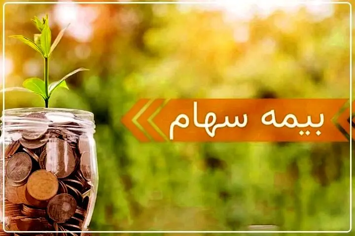 چگونه سهام خود را بیمه کنیم؟ 