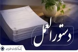 کارت ریالی گردشگری برای اتباع خارجی وارد شبکه بانکی شد 