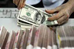 سهم هر ایرانی پس از حذف ارز ترجیحی چقدر خواهد بود؟ 